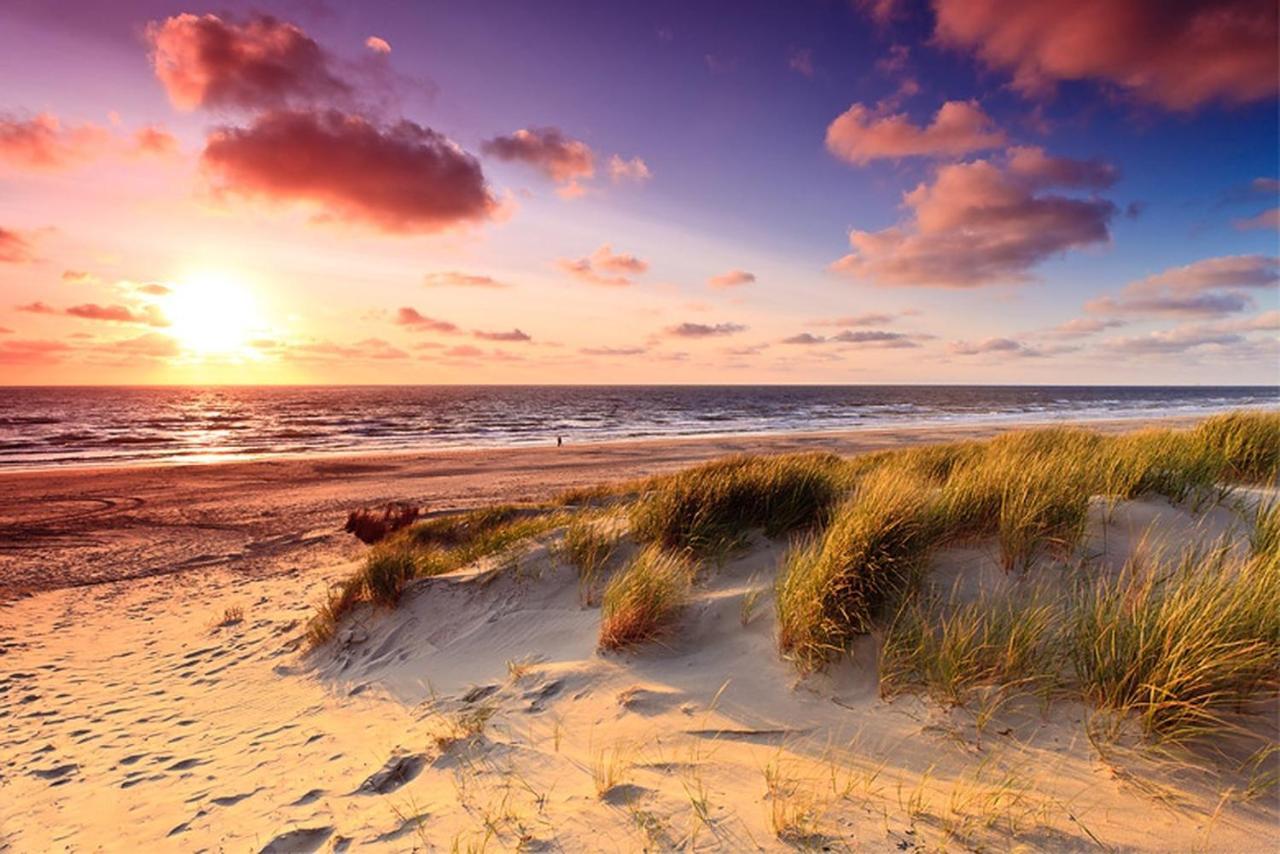 Scottish Thistle Zandvoort Bagian luar foto